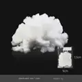 5G