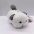gray dog
