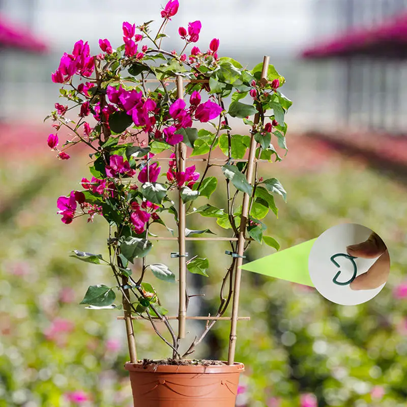 Clips de flejado de vid de jardín de plástico, anillo de hebilla incluido para plantas, gancho de vid y tomate para jardín, herramientas de soporte para plantas - imagen 4