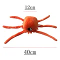 24cm