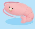 baby shrimp