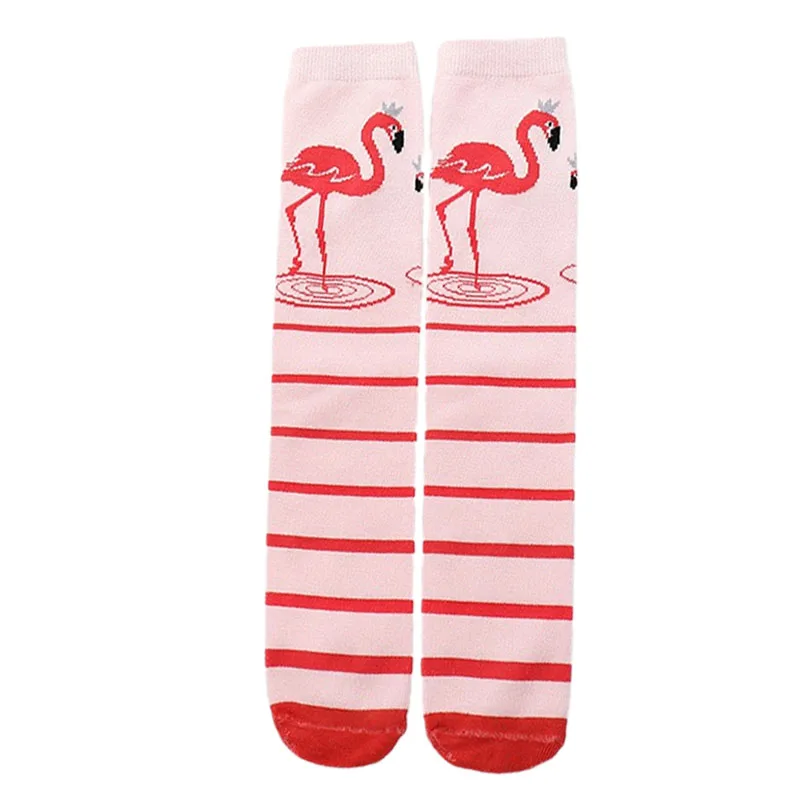 1 Pair-004-C