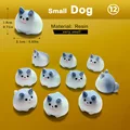 10pcs Fat Dog