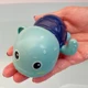 blue tortoise