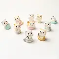 6pcs Random Cat