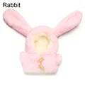 rabbit