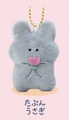 grey rabbit flower