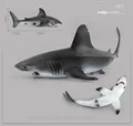 167 white shark