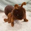 23cm Ant C