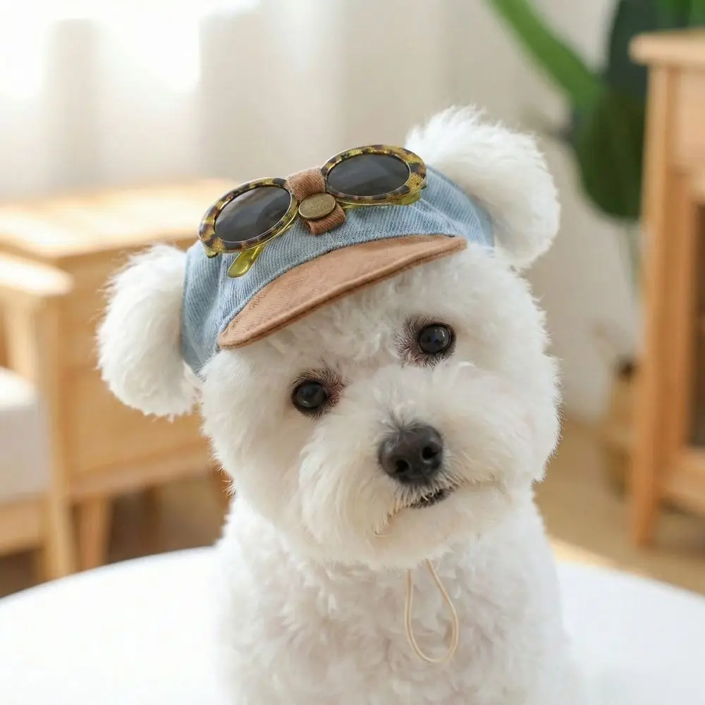 Gorra para perro vaquera con visera ajustable y gafas de sol - imagen 3