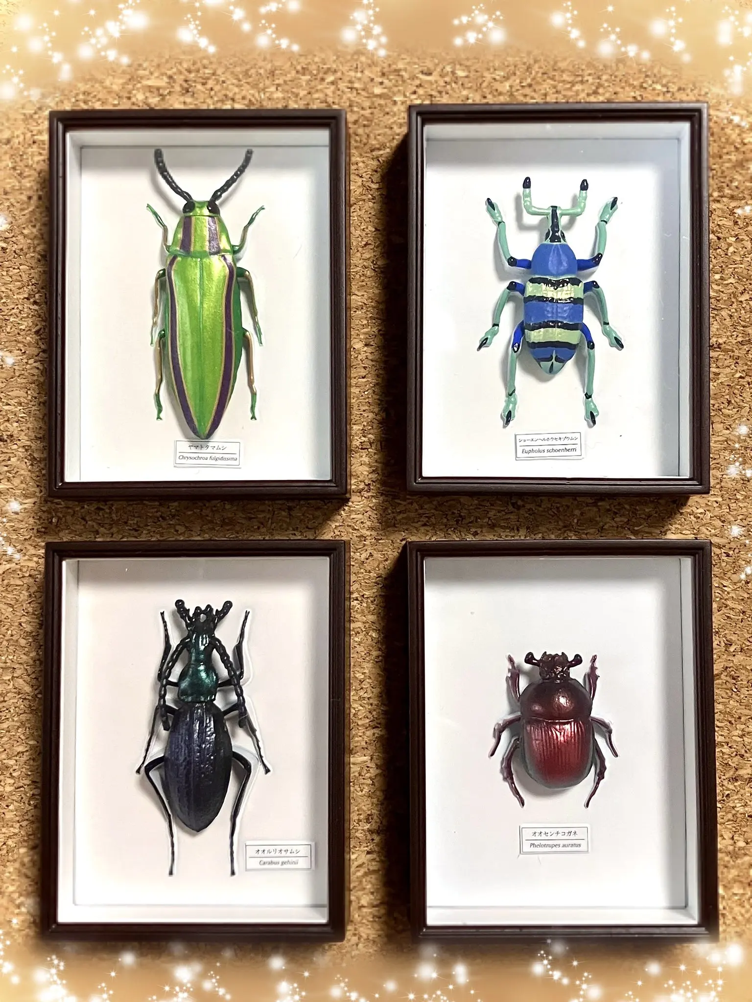 IKIMON imanes de insectos para caja sorpresa estilo alemán mini - imagen 4