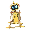 DIY Robot