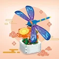 Dragonfly Potted 5