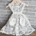 pocket lace gown