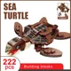 Sea turtle