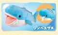 Whale Shark