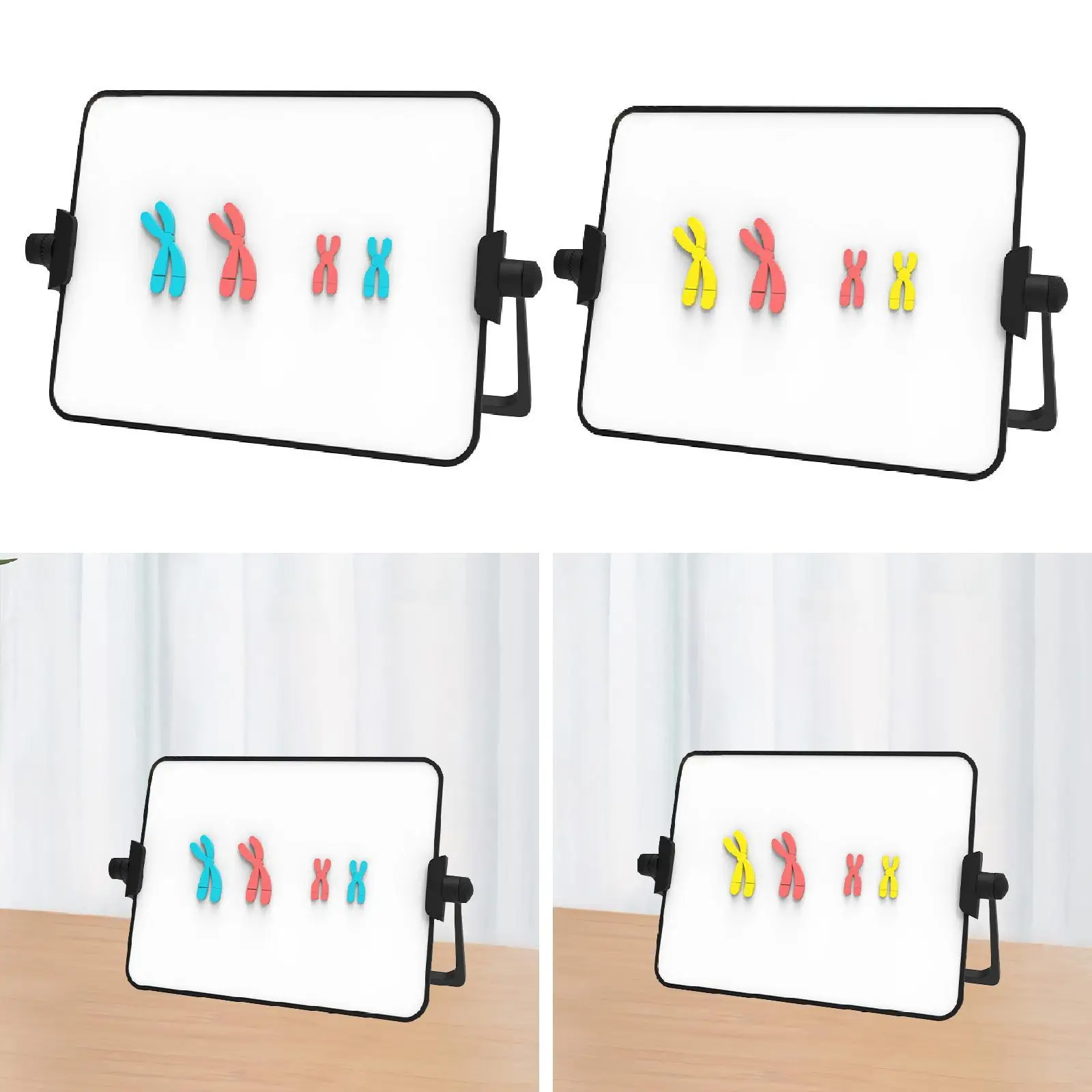 Meiosis Chromosome Change Model Kit Portable Magnetic Biology Teaching Aid