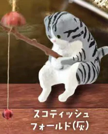 grey tabby cat