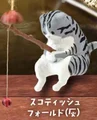grey tabby cat