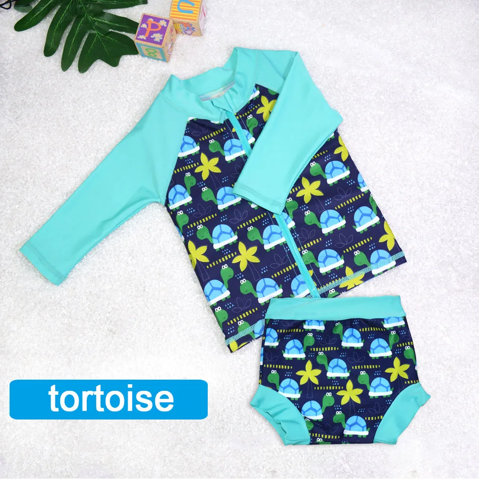 tortoise