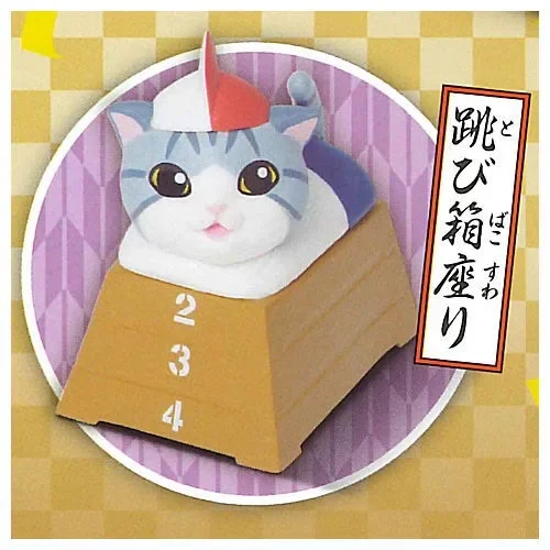 cat sit vaulting box