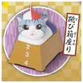 cat sit vaulting box