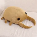 50cm Stag beetle