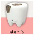 Haa cavities