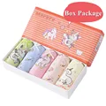 GS101-Box Package