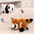 Panda - Raccoon