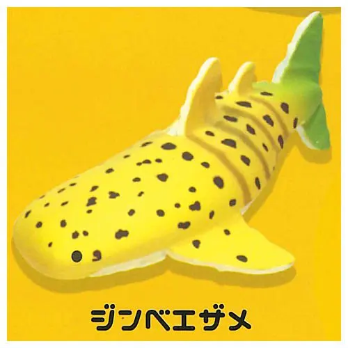 whale shark