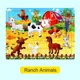 Ranch Animal