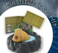 Capybara
