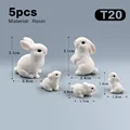 5pcs Rabbit-T20