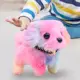 pink puppy
