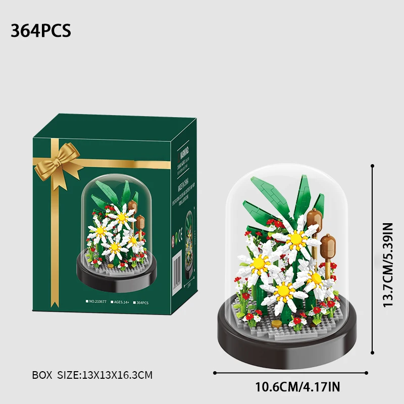 210677 With box