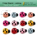12pcs Ladybug