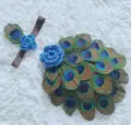 a set