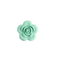 10pcs Mint green