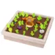 Vegetable memory 