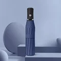 8kAuto-navy