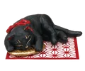 Sleeping black