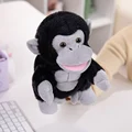 Orangutan