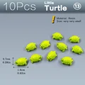 10pcs Turtles