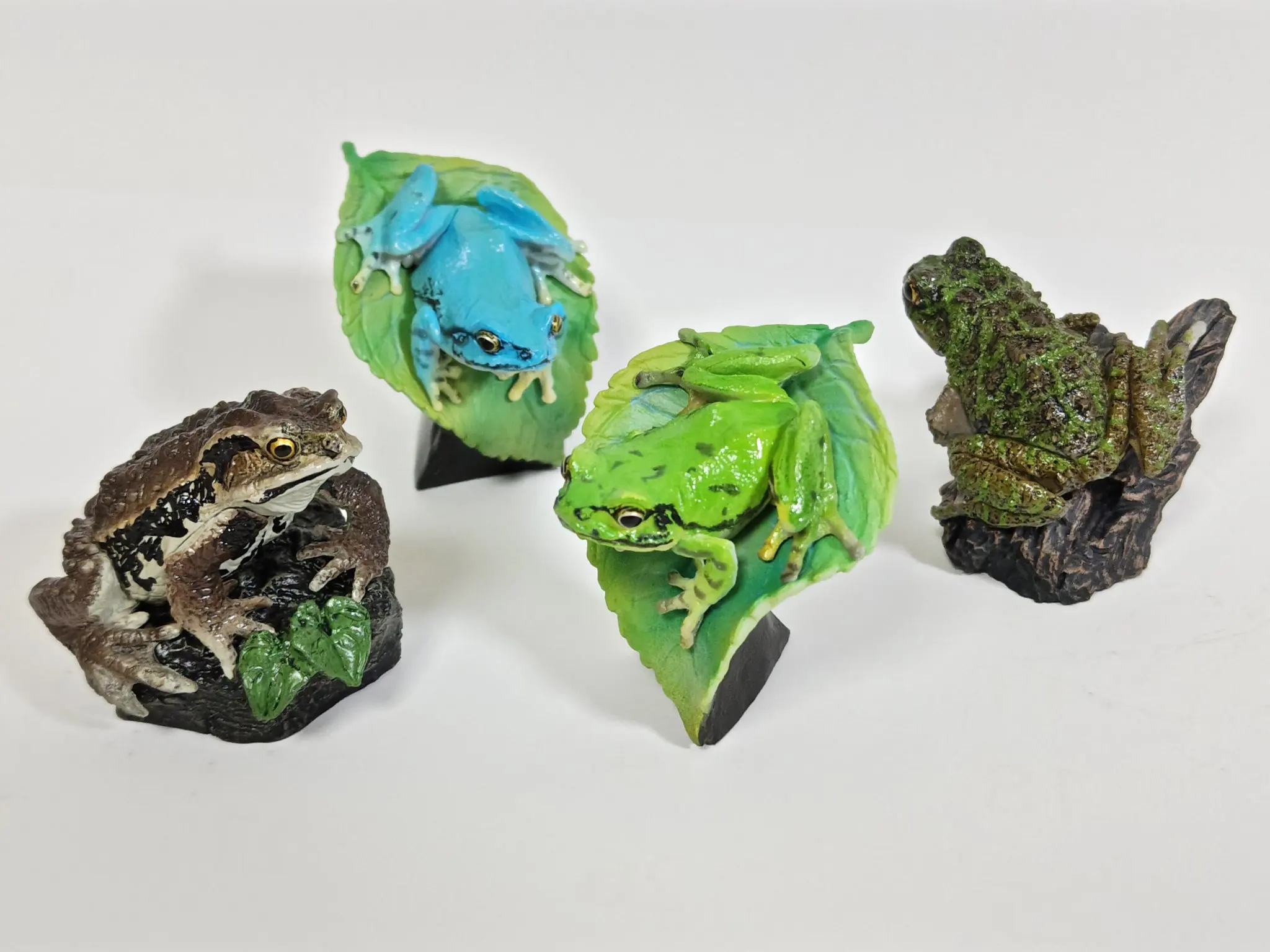 Figuras cápsula de anfibios para niños – Rana de árbol y sapos - imagen 4