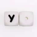 10pcs Y