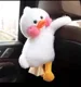 duck 21