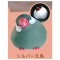 silver Java Sparrow