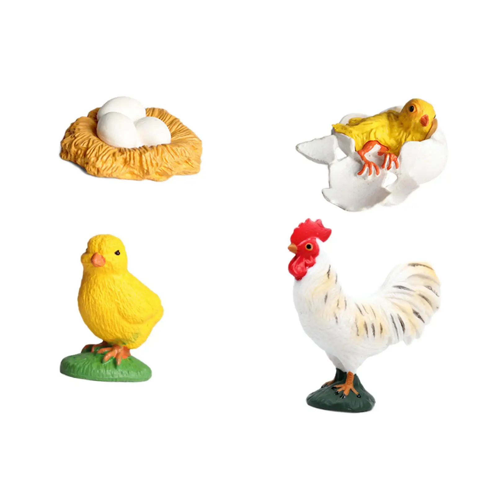 Rooster Life Cycle Set Education Toy Animals Figurine Toy for Boy Girls Kids