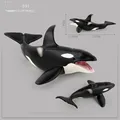 591 killer whale